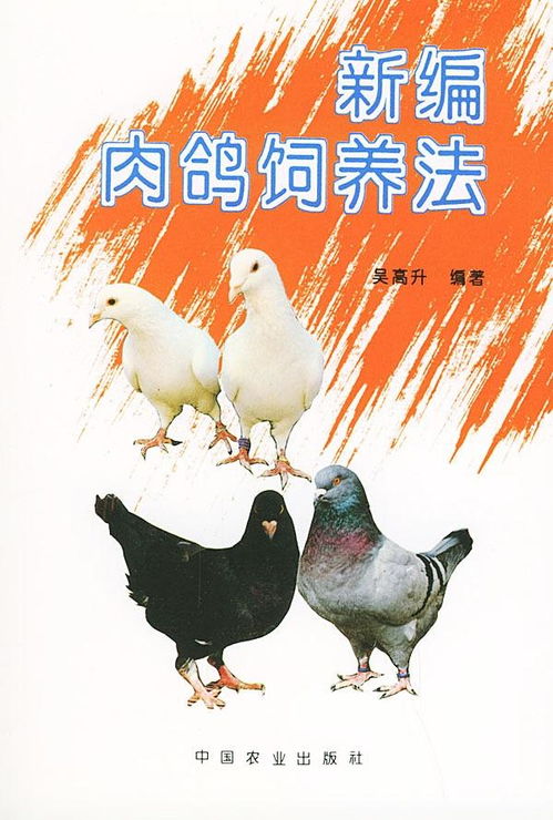 新編肉鴿飼養(yǎng)法
