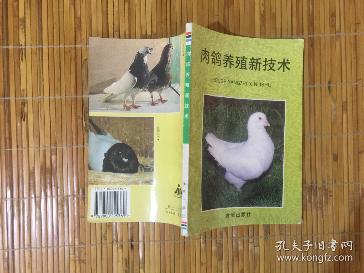 肉鴿養(yǎng)殖新技術(shù)